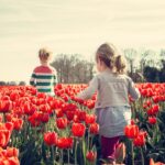 Mit Antrag auf Kinderzuschlag Bürgergeld vermeiden 4 Mit Antrag auf Kinderzuschlag Bürgergeld vermeiden