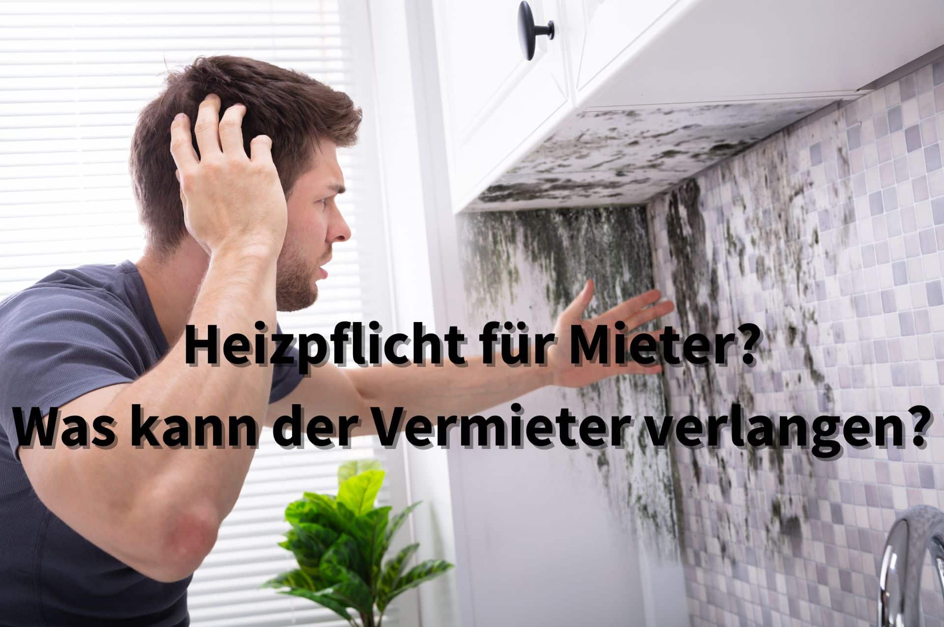 Mieter aufgepasst: So heizen Sie sich in Deutschland straffrei warm 2 Wann hat der Mieter eine Heizpflicht?