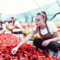 Bürgergeld: Wie und ob Einkommen des volljährigen Kindes angerechnet wird! 4 Wie wird das Einkommen eines volljährigen Kindes angerechnet auf das Bürgergeld der Eltern.
