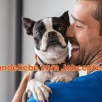 Bürgergeld: Geld für Hund und Futter vom Jobcenter – Gerichtsurteil – Tierfreunde sprachlos! 3 Gerichtsurteil: Muss das Jobcenter für die Anschaffung und Haltung eines Hundes zahlen?