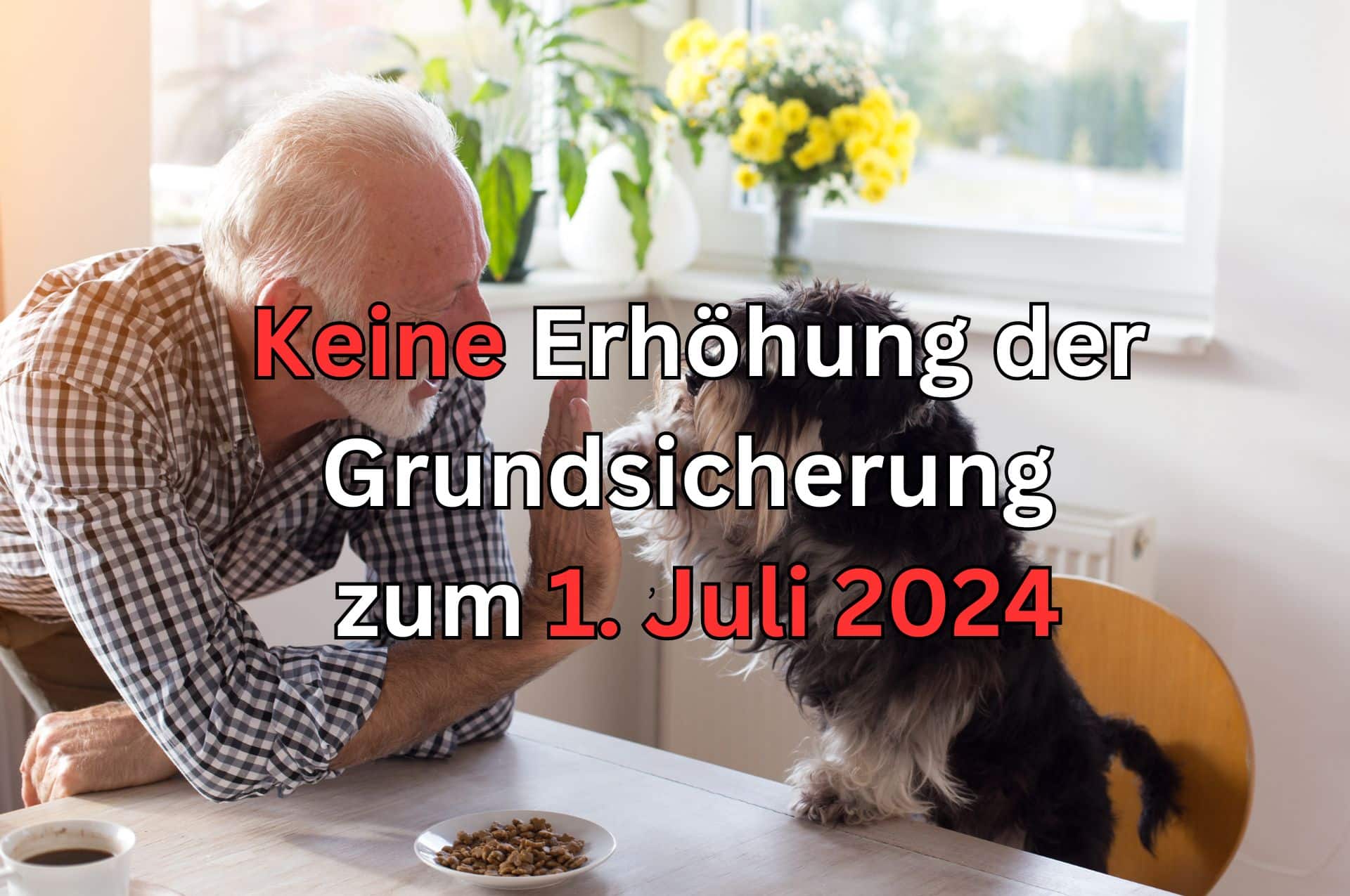 Keine Rentenerhöhung für hunderttausende Rentner! 2 grundsicherung im alter wird nicht erhoeht