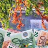 6 wichtige Änderungen im Oktober 2024 - Bürger & Geld 5 farbige Blätter wachsen auf euroscheine herab