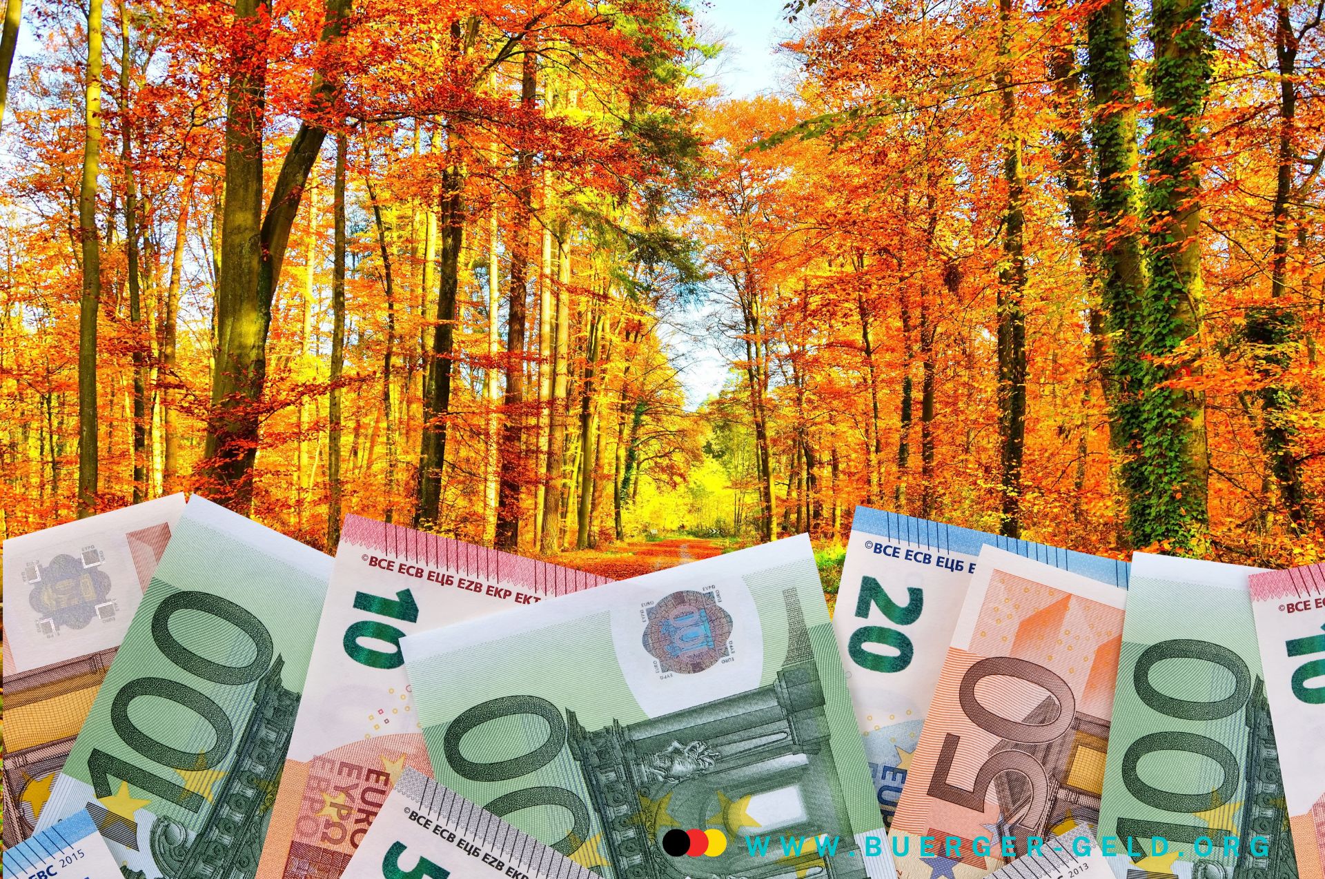 6 wichtige Änderungen im Oktober 2024 - Bürger & Geld 2 Goldener Oktoberwald mit Euroscheinen im Vordergrund