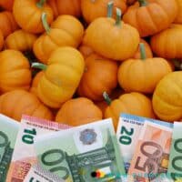 Grundsicherung im Alter Oktober 2024 - wann Auszahlung der Extra-Rente 4 Kürbisse mit Euro Scheinen im Vordergrund
