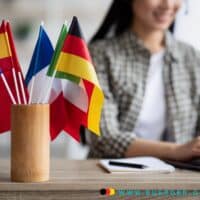 Bürgergeld: Hoher Anteil ausländischer Bezieher - Fakten und Hintergründe 4 eine Gruppe Flaggen in einem Becher auf dem Schreibtisch