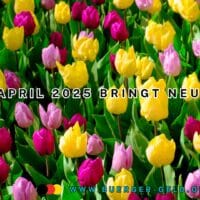 Neuerungen und Änderungen im April 2025: Ein Überblick finanzieller Art 6 Tulpenfeld