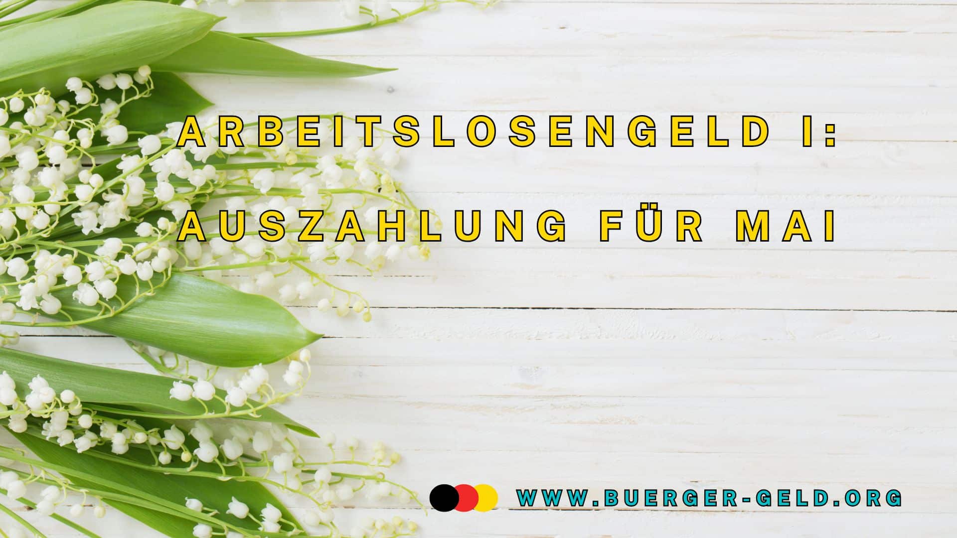 Maiglöckchen vor grauem Hintergrund