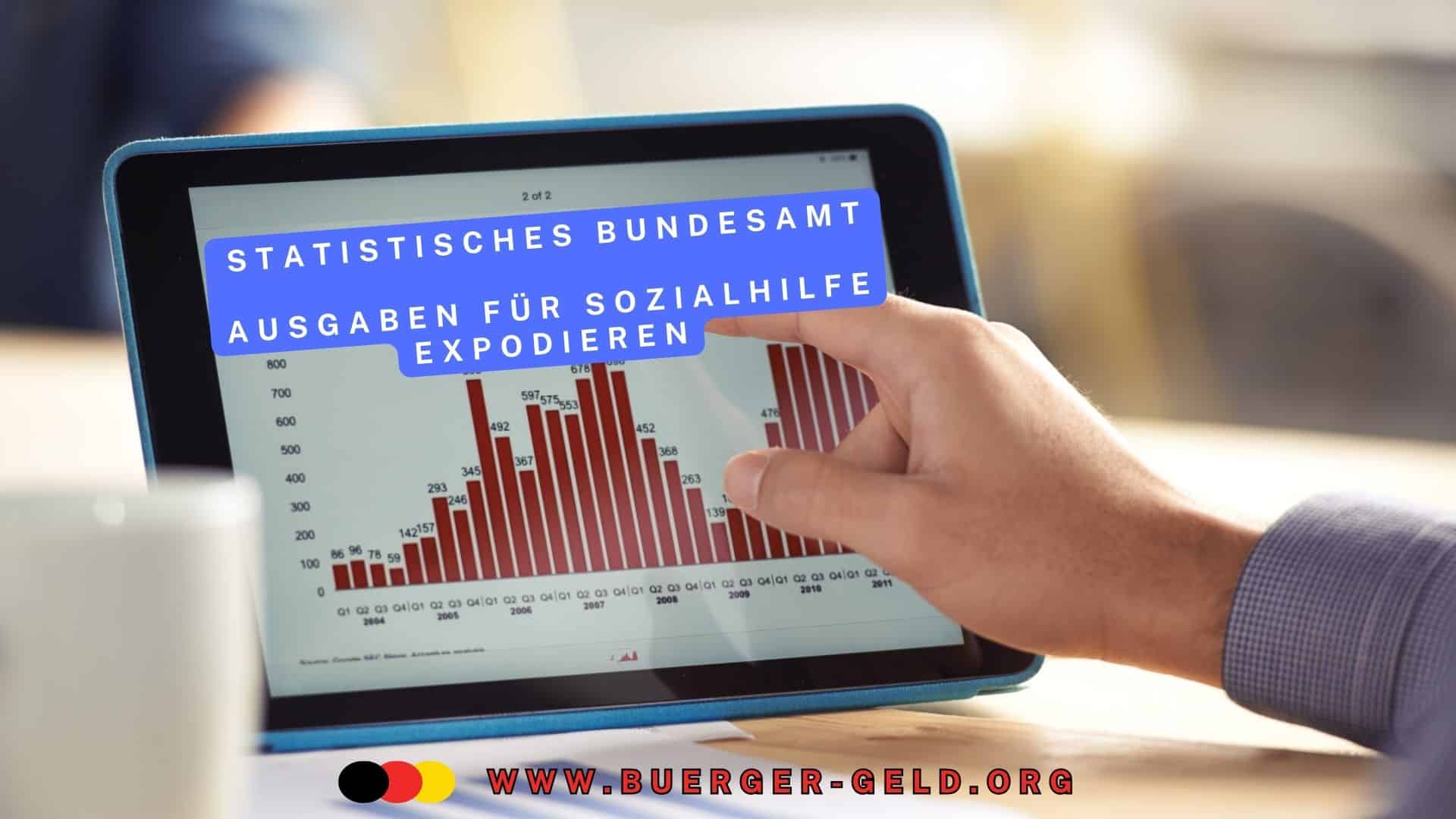Grafik auf Tablet mit der Überschriift "Statistisches Bundesamt"
