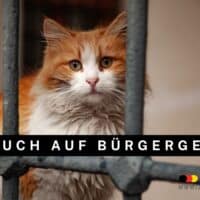 Bürgergeld während der Haft? LSG weist Klage ab! 4 Kein Bürgergeld während Haft
