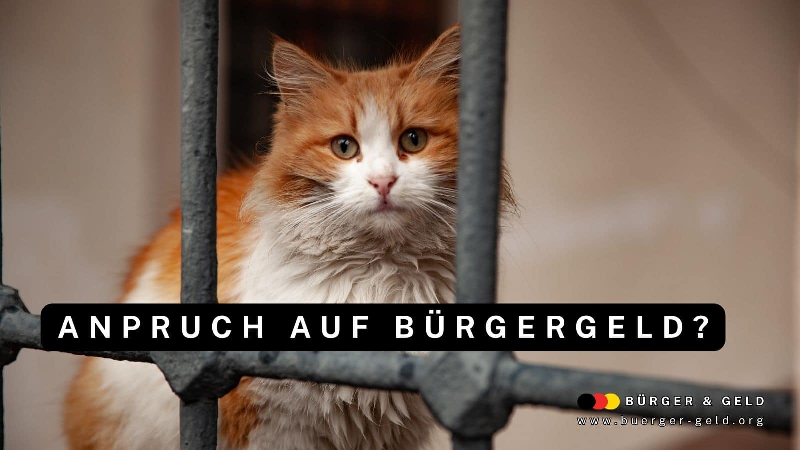 Kein Bürgergeld während Haft