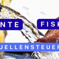 Rente: Quellensteuer für Rentner im Faktencheck - Regierungsplan vorhanden? 4 Rente: kommt die Quellensteuer für Rentner? Faktencheck!