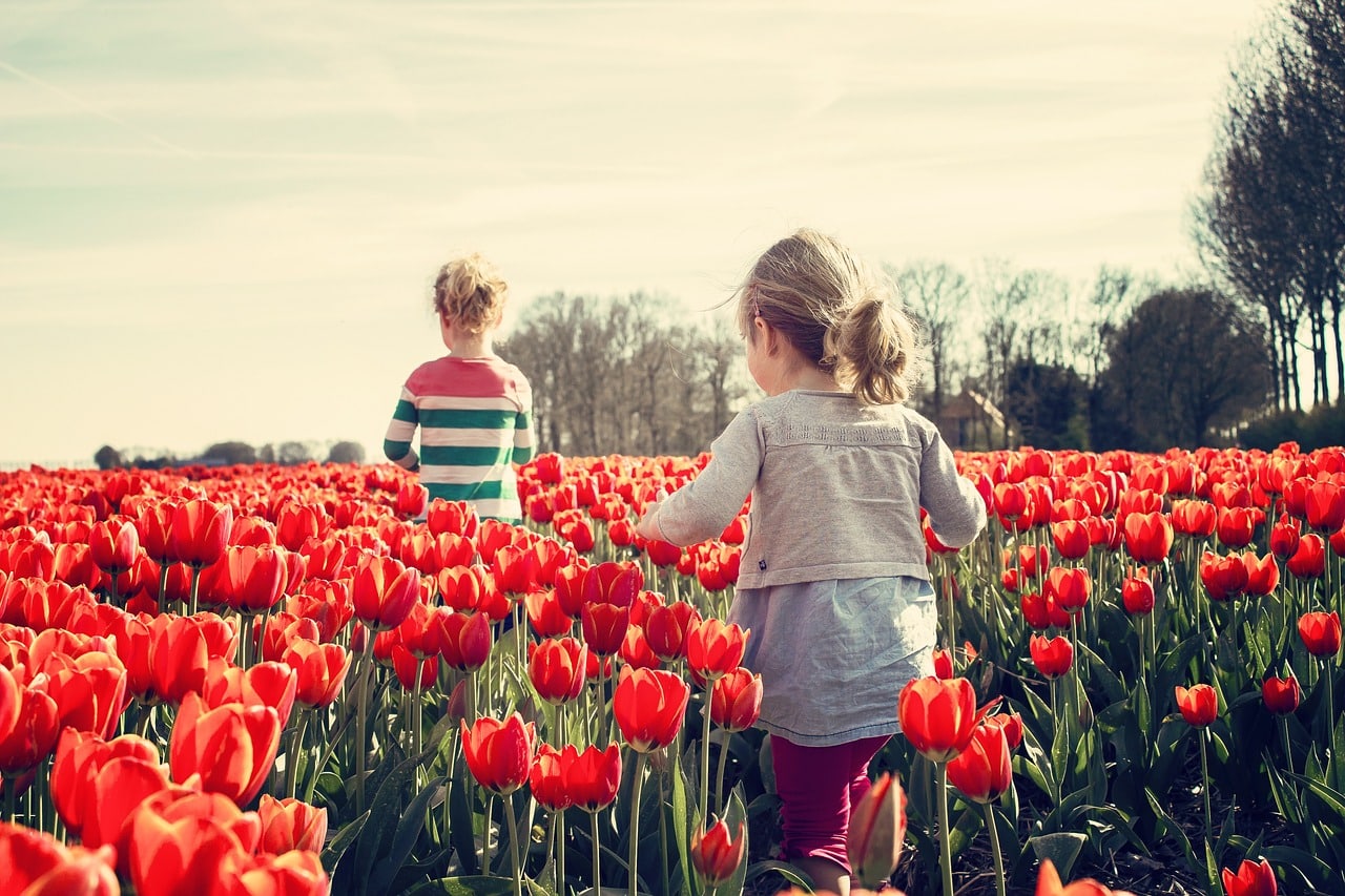 Mit Antrag auf Kinderzuschlag Bürgergeld vermeiden