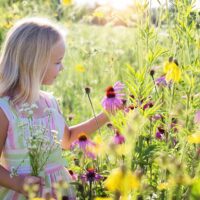 Kindergarantiebetrag kommt - was Familien wissen und beantragen müssen