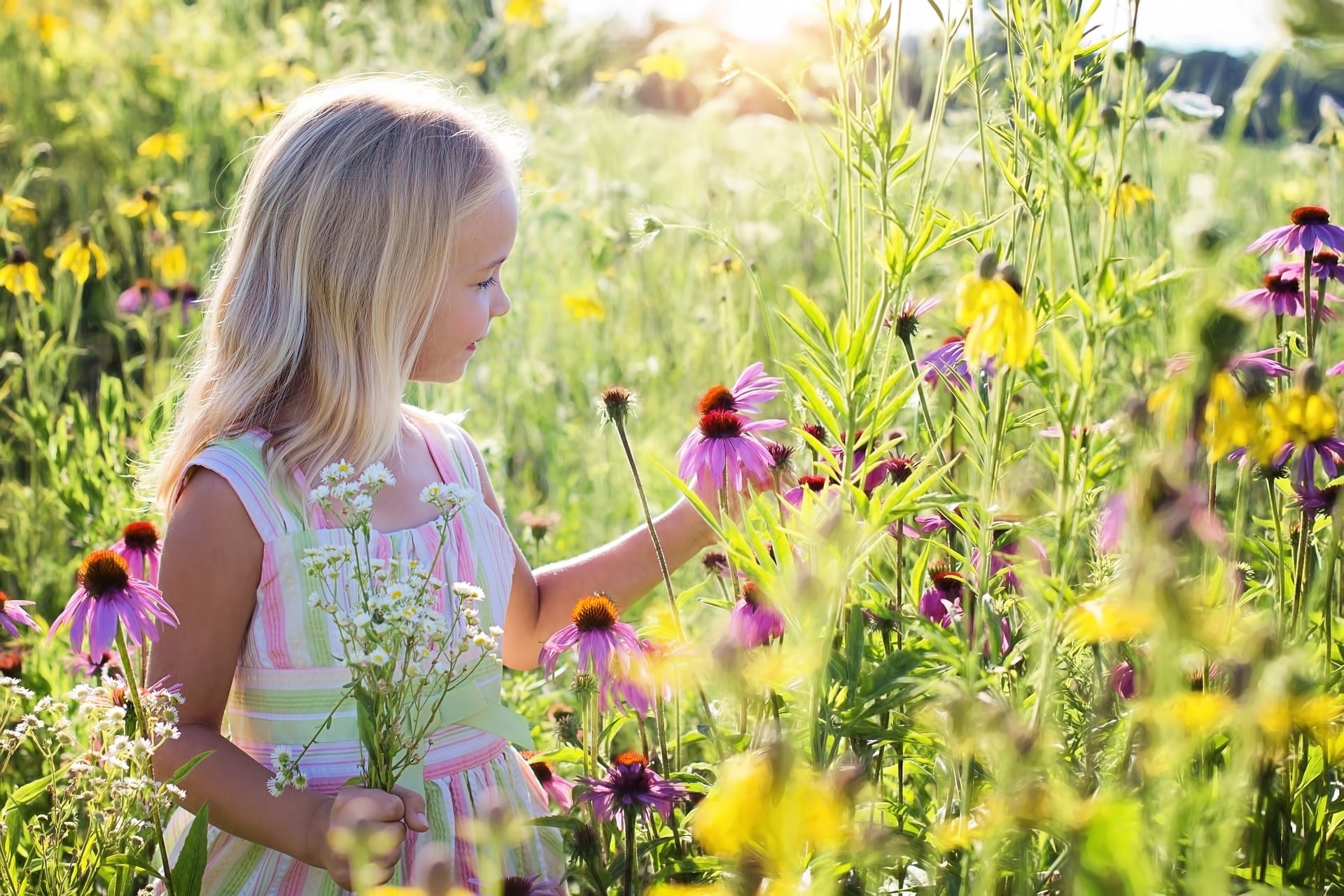 Kindergarantiebetrag kommt - was Familien wissen und beantragen müssen