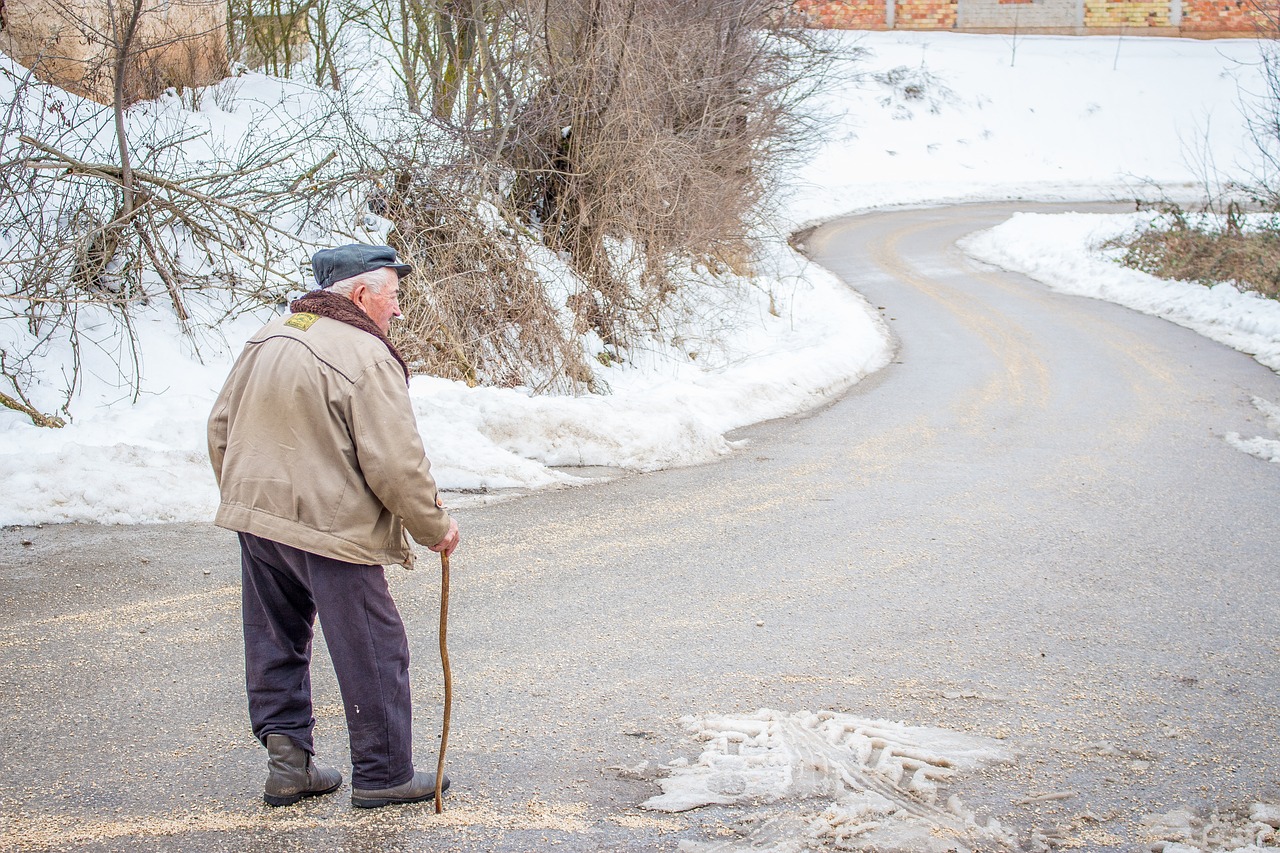 rentner zuschuss zur rente