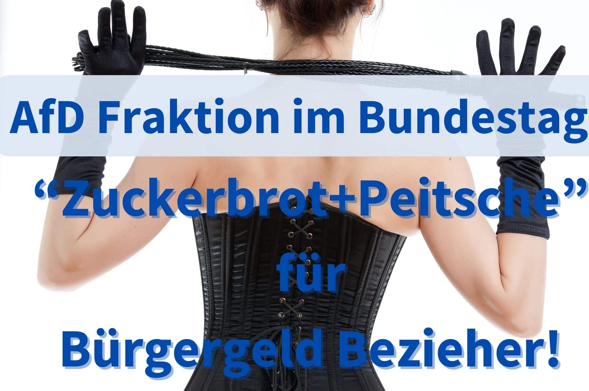 „Zuckerbrot und Peitsche“ für Bürgergeld Bezieher – AfD fordert im Bundestag