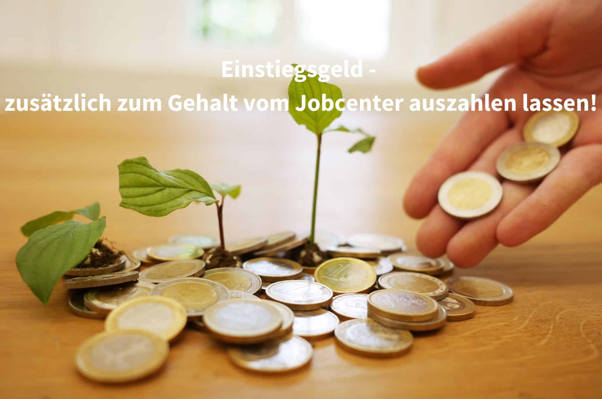 Einstiegsgeld beim Jobcenter beantragen - wir zeigen, wie das geht.