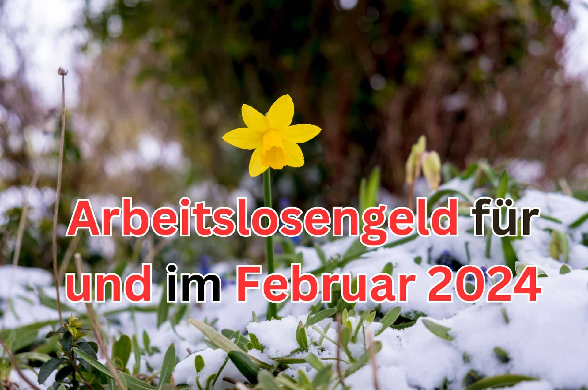 Wann ist der Auszahlungstermin für das Arbeitslosengeld Januar? Am 1. Februar 2024!