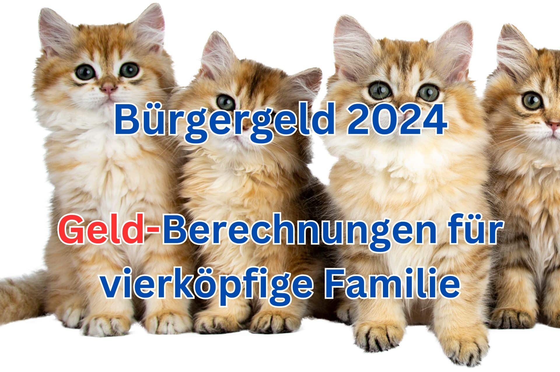 Wie hoch ist das Bürgergeld 2024 für eine vierköpfige Familie in unterschiedlicher Zusammensetzung?