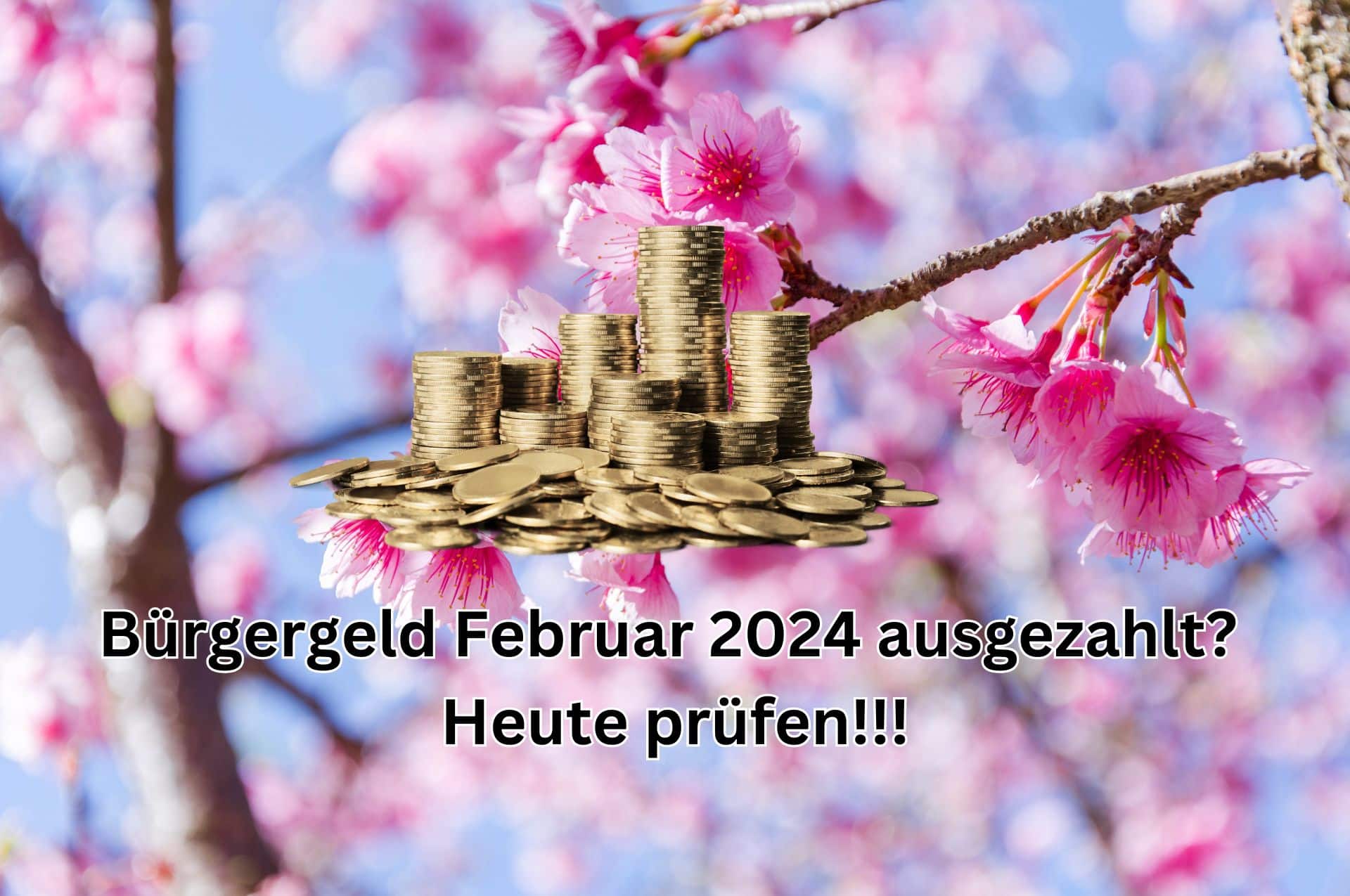 Wurde das Bürgergeld für Februar 2024 ausgezahlt? Wann ist Zahltag?