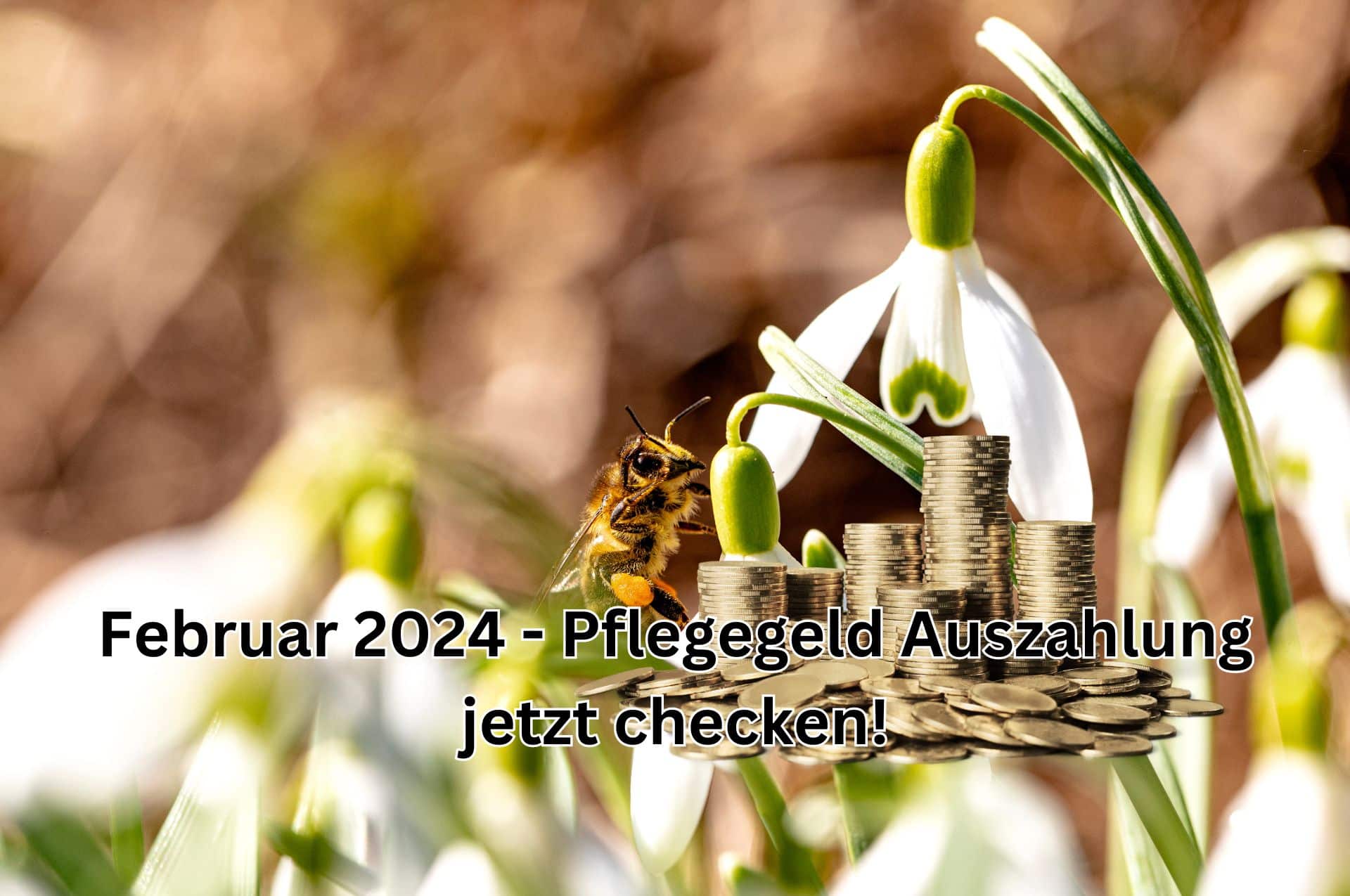 Pflegegeld Auszahlungstermin für Februar 2024 prüfen