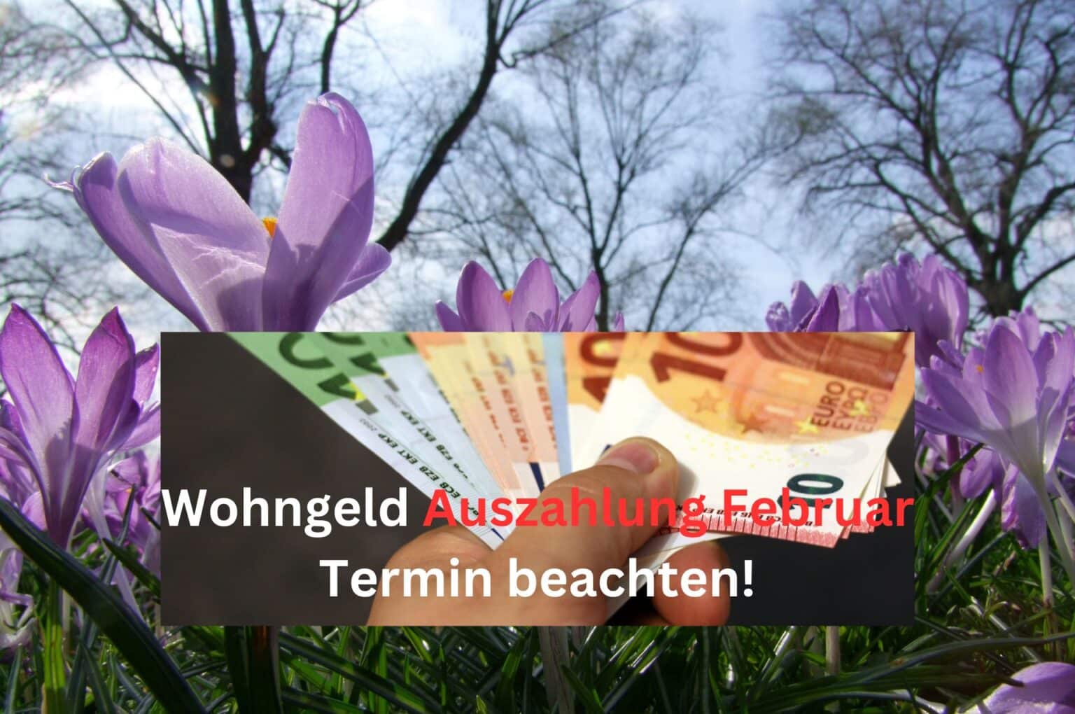 Wohngeld Auszahlung Feburar 2024 wann wird das Geld überwiesen?