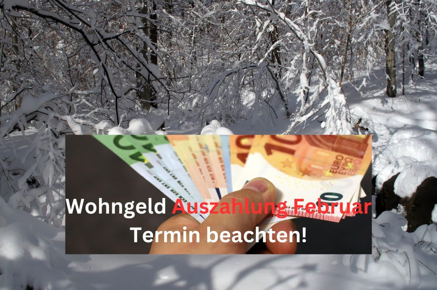 Wohngeld Auszahlung Feburar 2024 wann wird das Geld überwiesen?