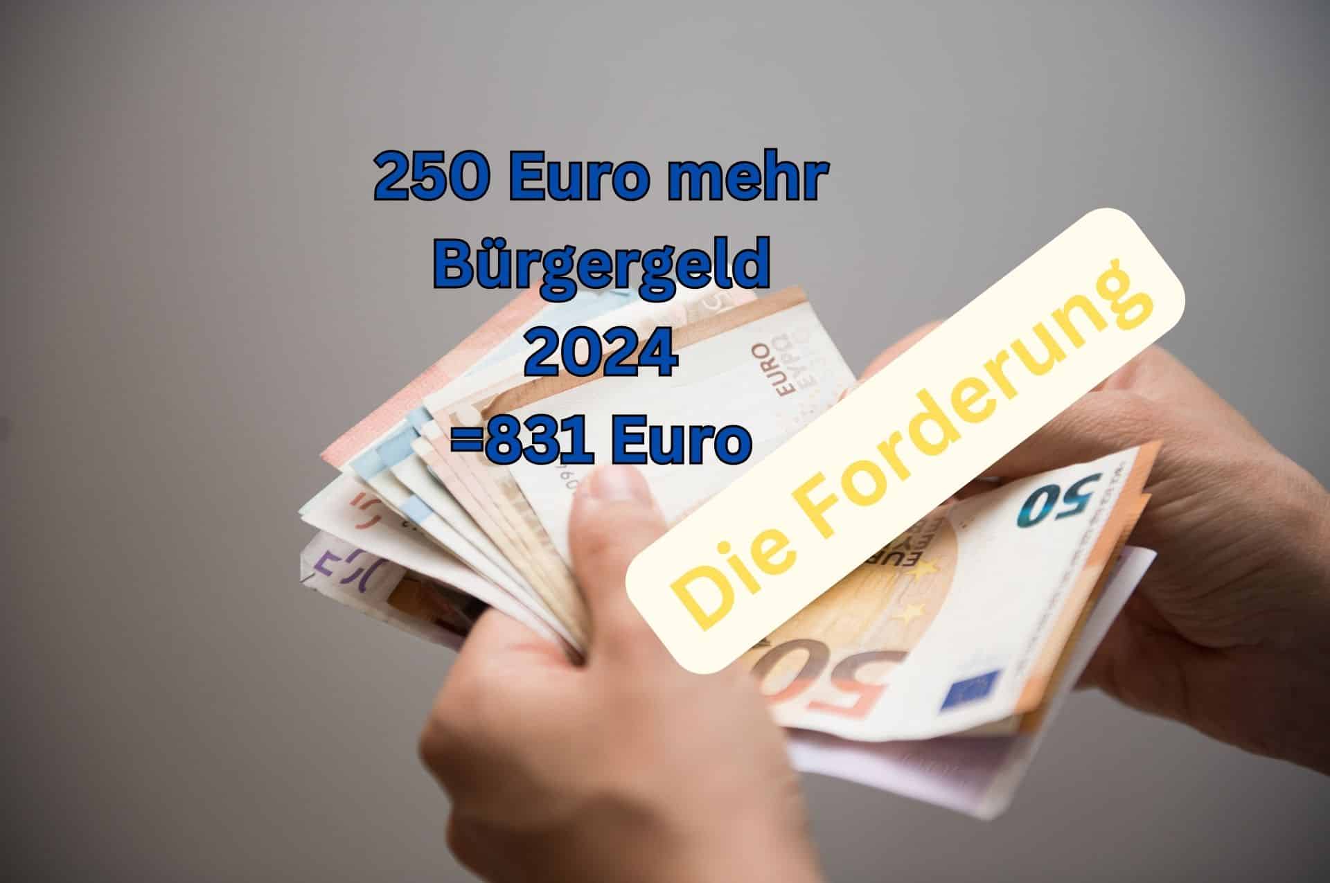 Bürgergeld Regelsatz von 831 Euro im Jahr 2024