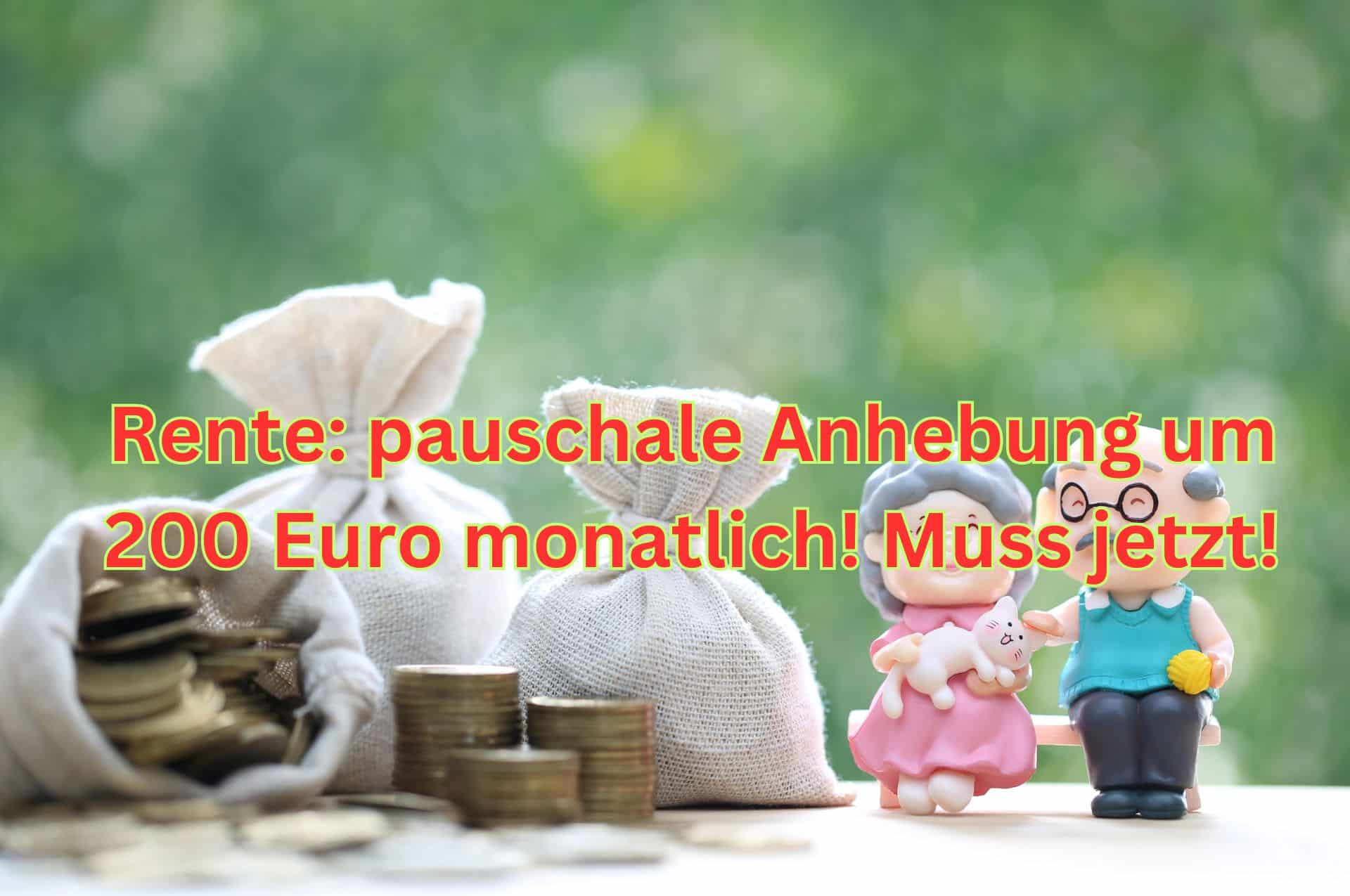 Aus den Reihen der Partei die Linke wird für 2024 eine Rentenerhöhung von 10 Prozent oder eine Anhebung um 200 Euro gefordert - als Ausgleich der Inflation der letzten 4 Jahre.