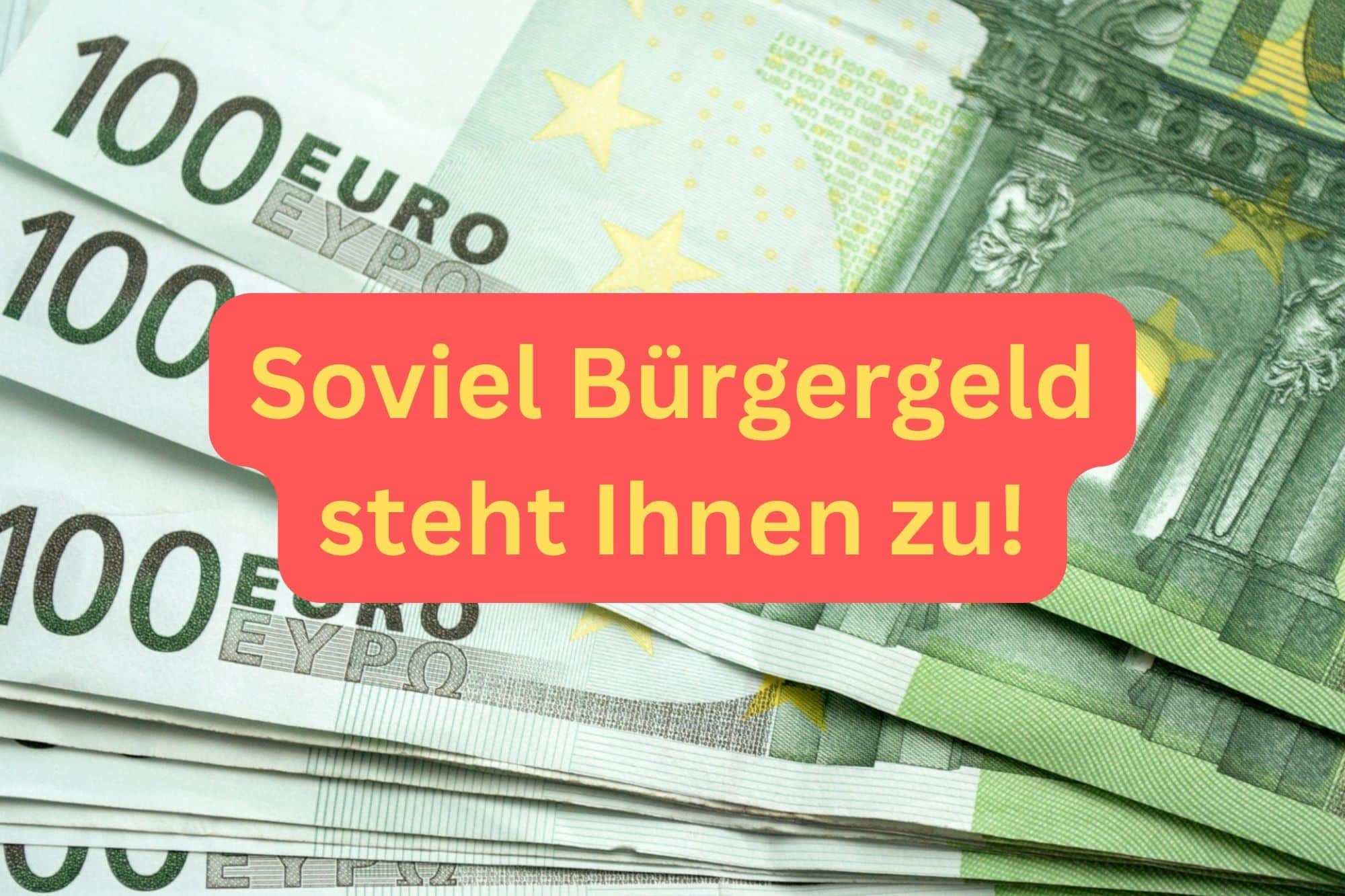 Jetzt informieren: So viel Bürger-Geld steht Ihnen 2024 zu