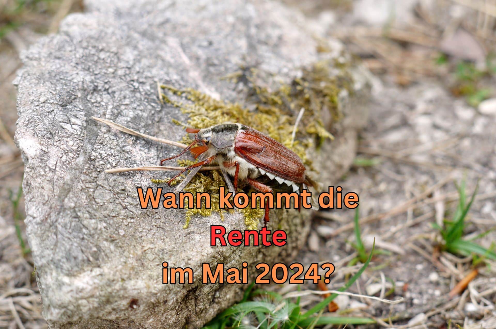 Hier finden Sie ihren Renten-Auszahlungstermin für Mai 2024