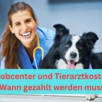 Muss das Jobcenter Tierarztkosten zusätzlich zum Bürgergeld Regelsatz zahlen?