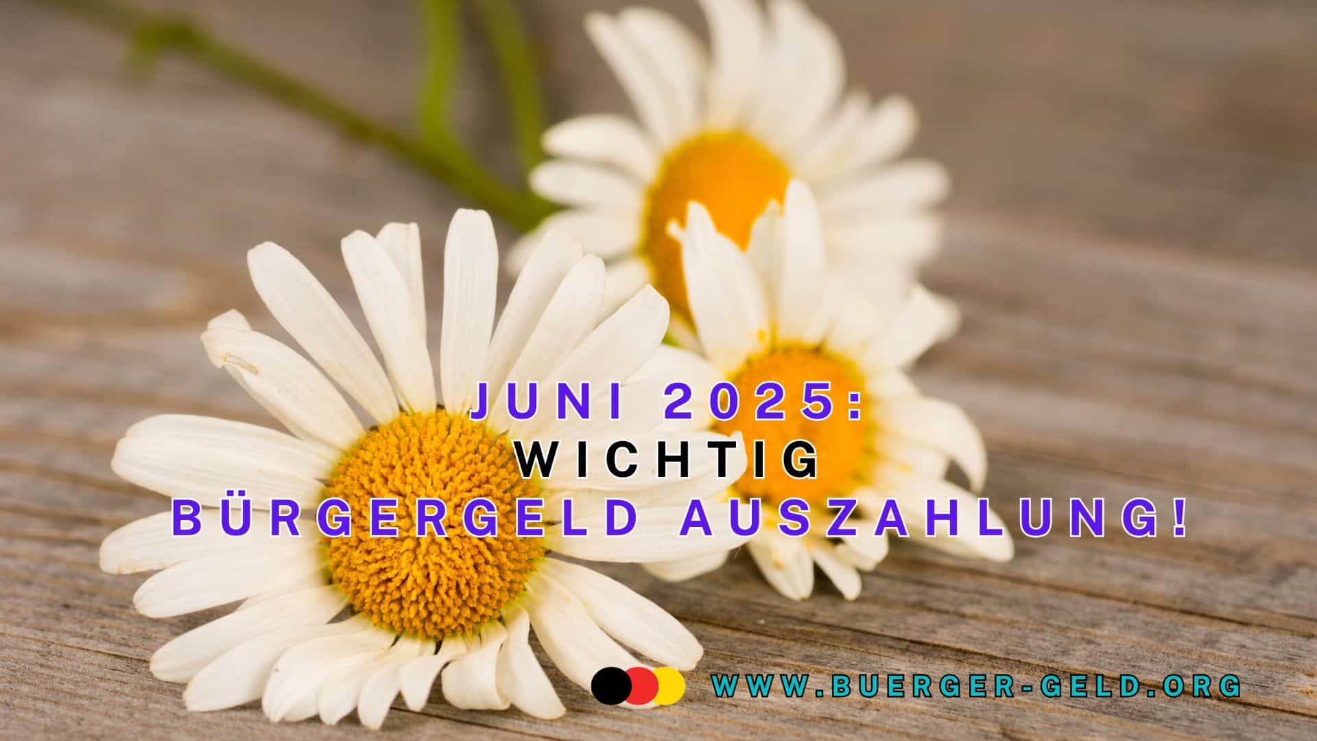Margeriten mit Text Juni