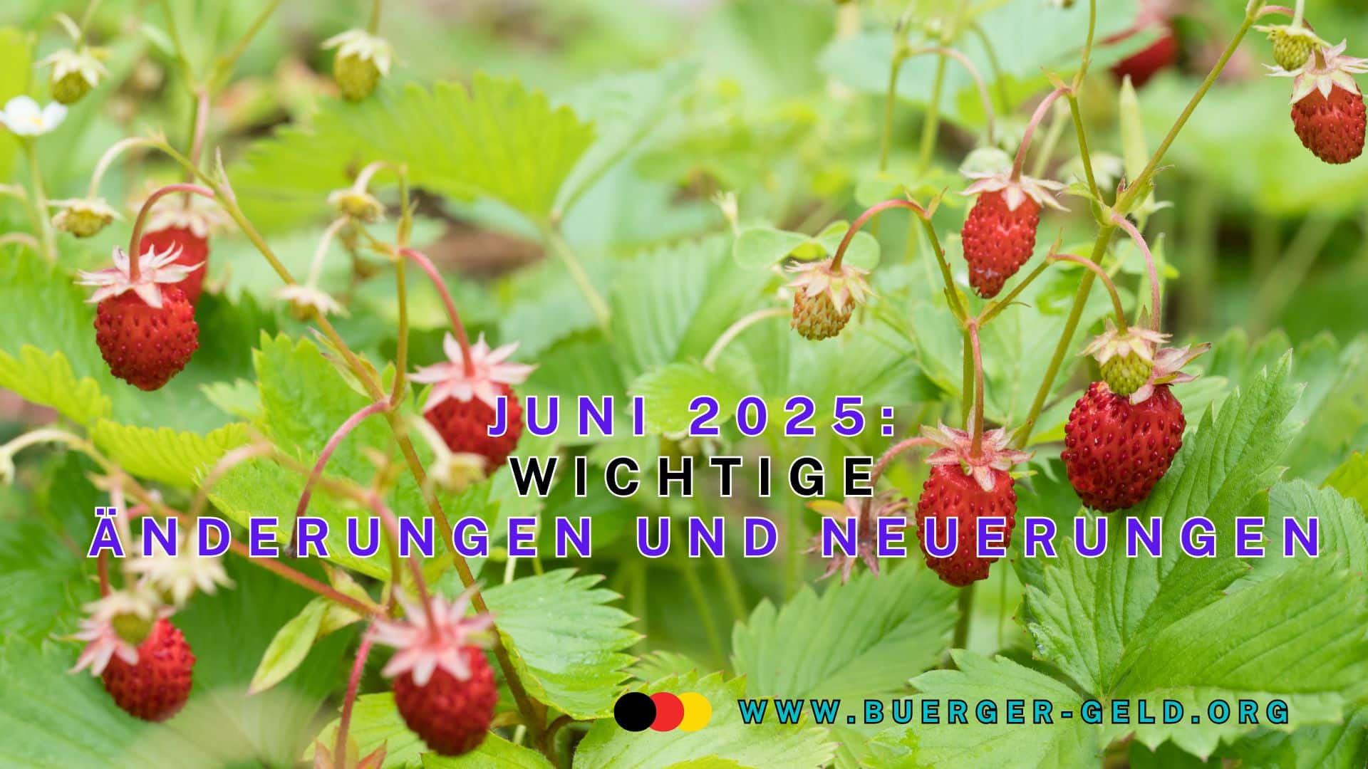Wilde Erdbeeren