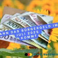 Euro-Noten im Sonnenblumenfeld