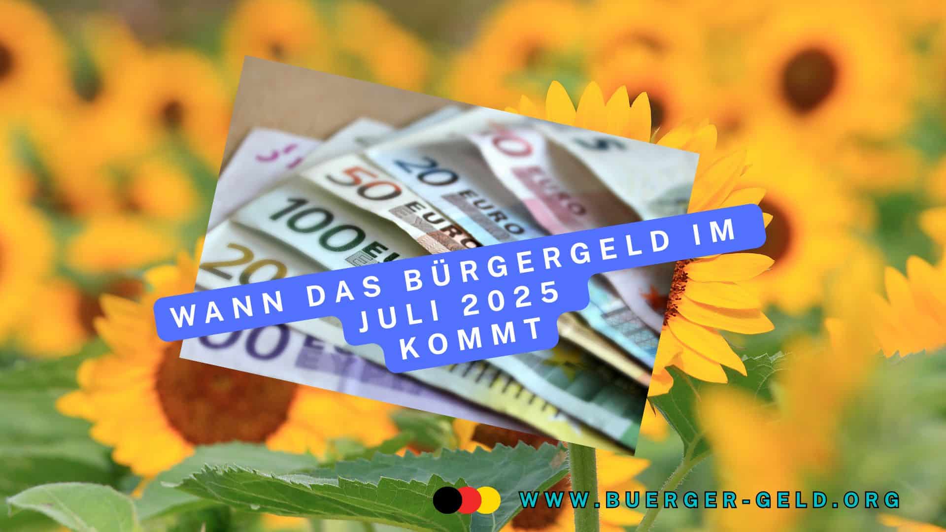 Euro-Noten im Sonnenblumenfeld