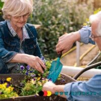 Rentnerehepaar arbeitet mit Blumen
