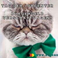 Katze mit ärgerlichem Gesicht und grüner Schleife