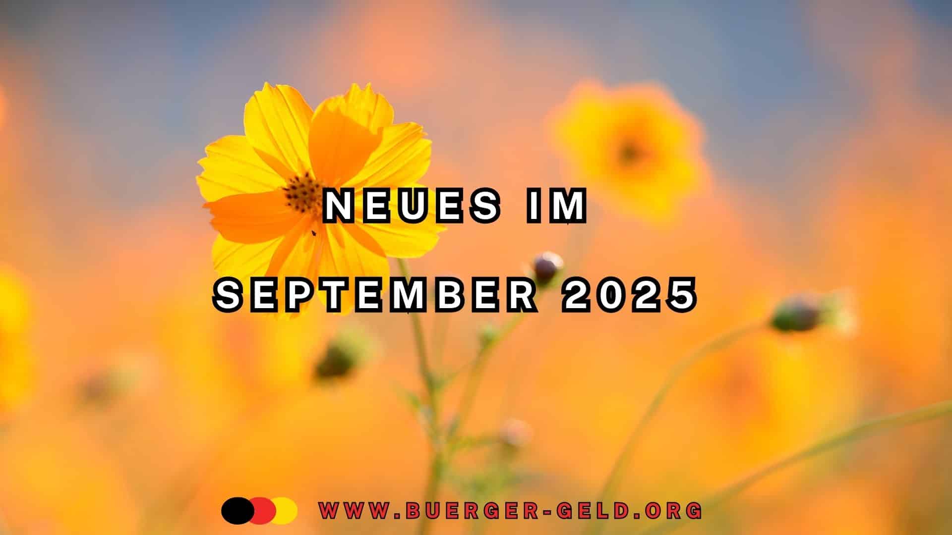 Blumen im September 2025