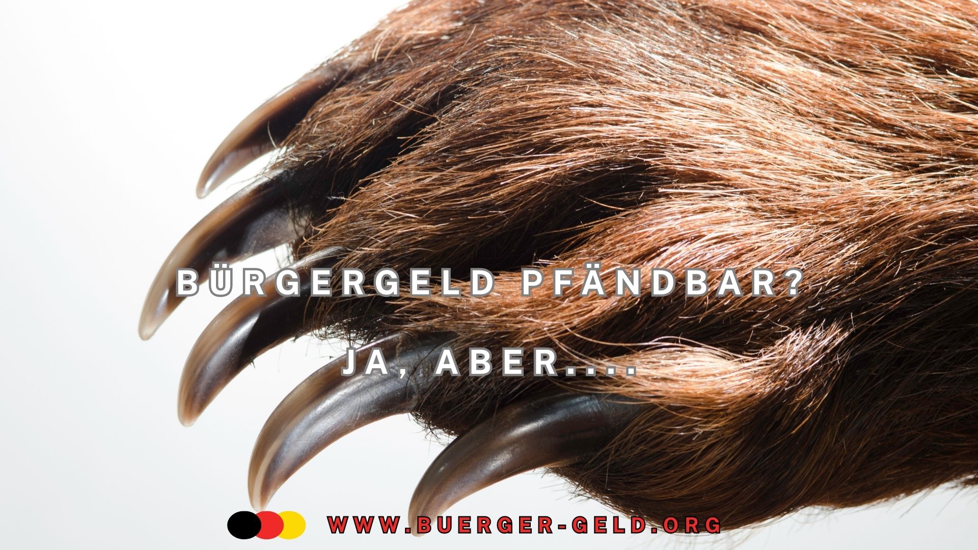 Krallen mit brauner Tatze