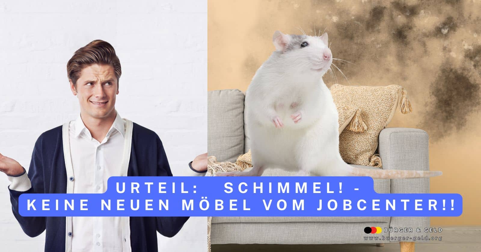Skandal Urteil Bürgergeld: keine neuen Möbel bei Schimmel oder Ratten
