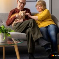 Rente und Wohngeld im Dezember – diese Frist kann wichtig werden! 4 Dezember: Frist für Wohngeld