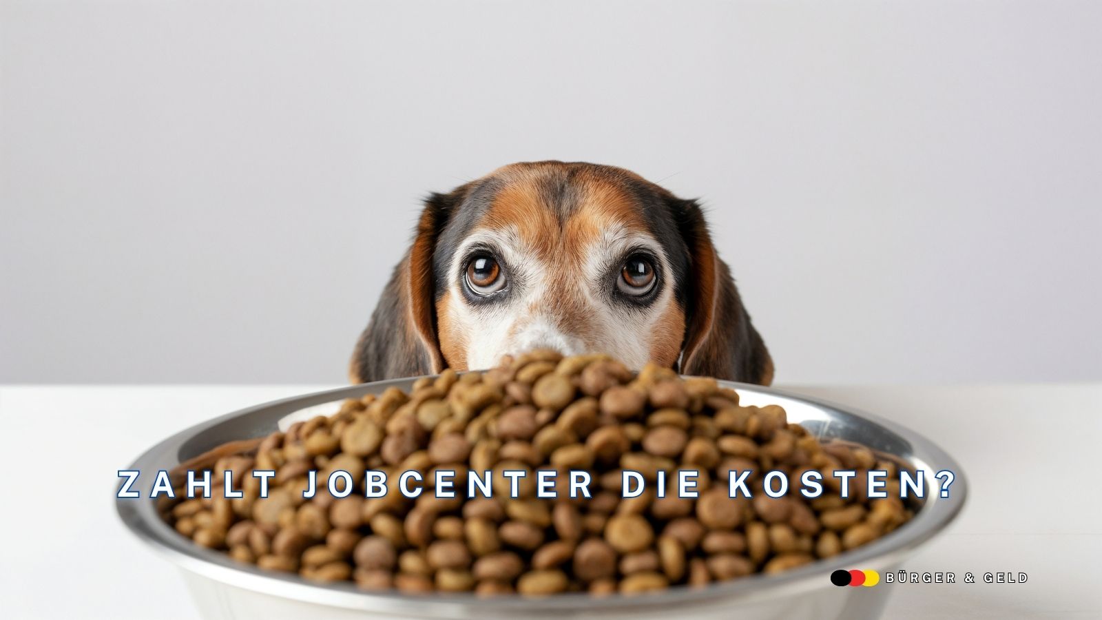 Jobcenter und Kosten für den Hund