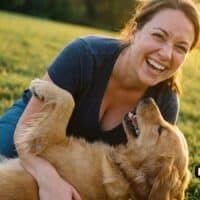 Futter und Versicherung für Hund und Katze vom Jobcenter bei Grundsicherung / Bürgergeld? 5 Jobcenter muss Kosten für Hund und Kartze nicht übernehmen.